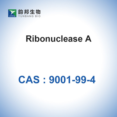RNase A Ribonuclease A จากตับอ่อนของวัวชีวภาพ CAS 9001-99-4