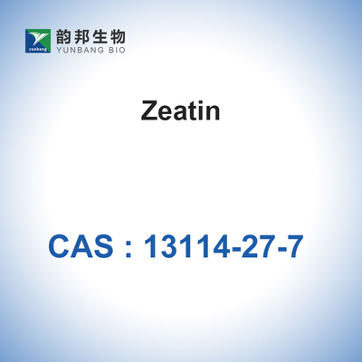 ผงยาปฏิชีวนะ Zeatin CAS 13114-27-7 C10H13N5O