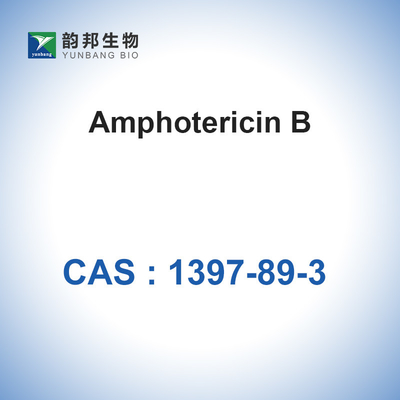 การเพาะเลี้ยงเซลล์แบบผง Amphotericin B CAS 1397-89-3 ยาปฏิชีวนะ