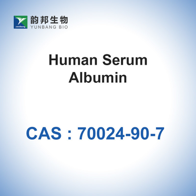 ผงอัลบูมิน HSA Human Serum ที่แช่เยือกแข็ง CAS 70024-90-7