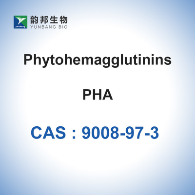 PHA Phytohemagglutinin-M Phaseolus Vulgaris CAS 9008-97-3 ผงไลโอฟิไลซ์
