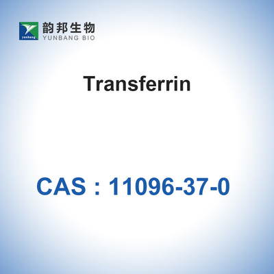 CAS 11096-37-0 เอนไซม์ตัวเร่งปฏิกิริยาทางชีวภาพ / Human Holo Transferrin