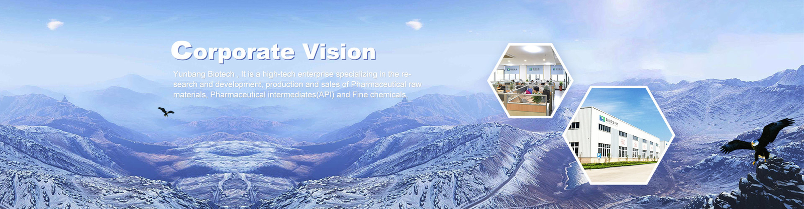 ไกลโคไซด์