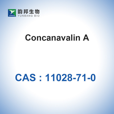 CAS 11028-71-0 Concanavalin A จาก Canavalia Ensiformis Jack Bean