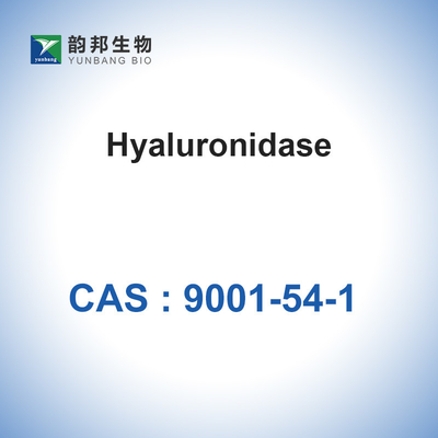 Hyaluronidase CAS 9001-54-1 เอนไซม์ตัวเร่งปฏิกิริยาทางชีวภาพทางเภสัชกรรม