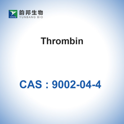 Thrombin สีขาวจากพลาสม่าของมนุษย์ CAS 9002-04-4 Thrombin (&gt; 2000u / Mgpr)