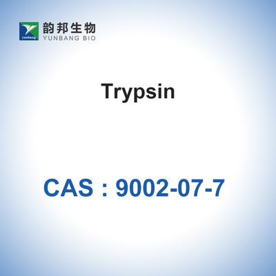CAS 9002-07-7 เอนไซม์ตัวเร่งปฏิกิริยาทางชีวภาพ 7.6 pH Trypsin จากตับอ่อนหมู