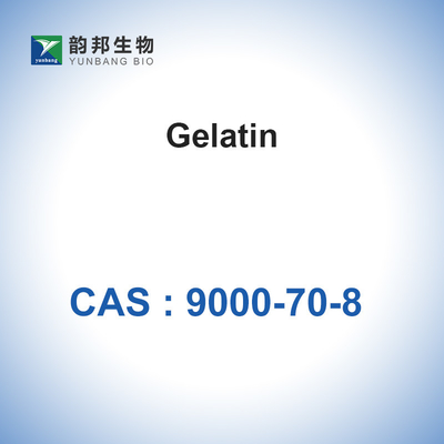 Teleostean Gelatin Powder สารดูดซับเจลาตินฟองน้ำข้น CAS 9000-70-8