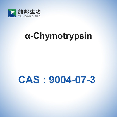 9004-07-3 เอนไซม์ตัวเร่งปฏิกิริยาทางชีวภาพ Chymotrypsin (＞ 1200u / Mg) α-Chymotrypsin