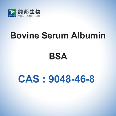 Bovine Serum Albumin Powder CAS 9048-46-8 รีเอเจนต์ทางชีวเคมี BSA Lyophilized Powder