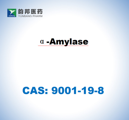 CAS 9001-19-8 Α-Amylase จากกระเพาะอาหารหมู