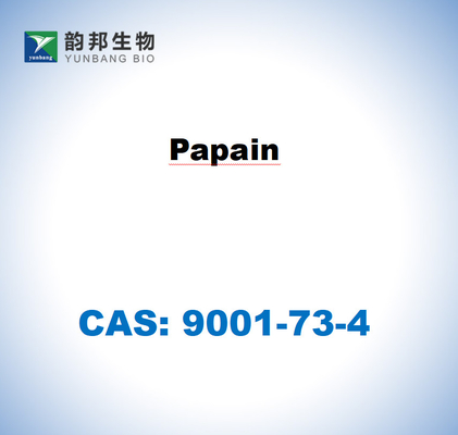 CAS 9001-73-4 ปาเปอีนจากลาเท็กซ์ปาปายา
