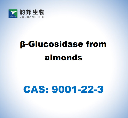 CAS 9001-45-0 Β-กลูโคซิดาซจากทอด