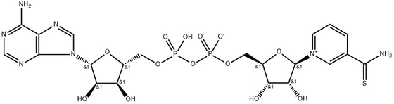 CAS 4090-29-3 Thionicotinamide Adenine Dinucleotide ธิโอนิโคตินามิด อาเดนีน ดินูเคลียตได