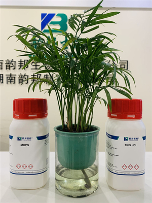 CAS 71119-22-7 MOPS บัฟเฟอร์เกลือโซเดียม Bioreagent 3- (N-Morpholino) เกลือโซเดียมโพรเพนซัลโฟนิก