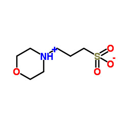 1132-61-2 MOPS 3-Morpholinopropanesulfonic Acid กรดมอร์โฟลินโพรเปาเนสซัลฟอนิก