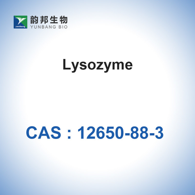 CAS 12650-88-3 เอนไซม์ตัวเร่งปฏิกิริยาชีวภาพไลโซไซม์จากไข่ไก่ขาว