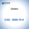 CAS 9000-70-8 ผงเจลาตินชนิดดูดซับเจลาตินฟองน้ำข้น