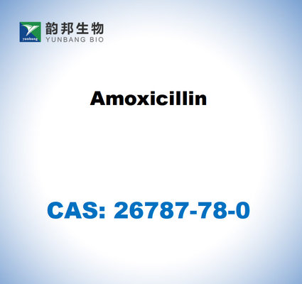 CAS 26787-78-0 อโมซิซิซิลลิน