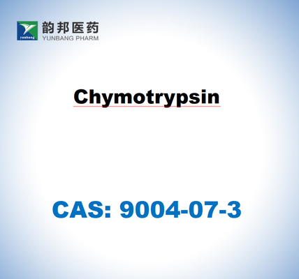 α-คิโมทริปซิน 9004-07-3 จากกระเพาะอาหารวัว USP Grade ((1500u/Mg)
