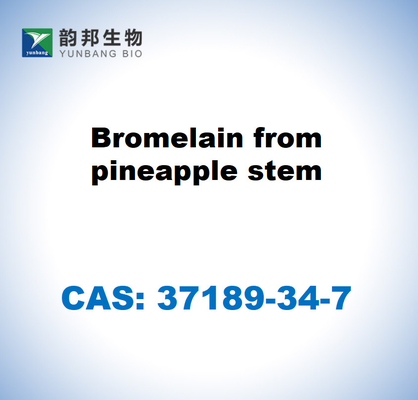 CAS 37189-34-7 โบรเมลีนจากต้นปานัส