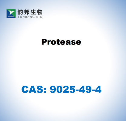 CAS 9025-49-4 โปรเตเอซจาก Aspergillus saitoi