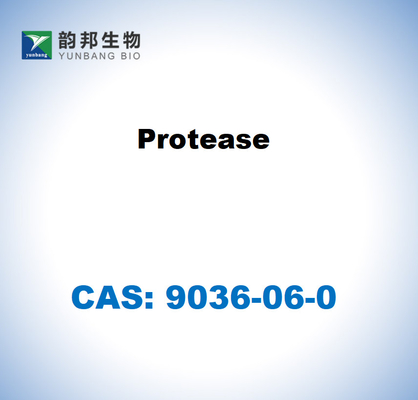 CAS 9036-06-0 โปรเตเอซจาก Streptomyces griseus