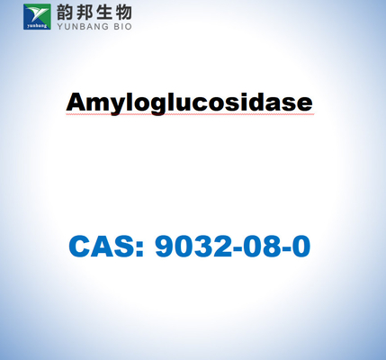 CAS 9032-08-0 Amyloglucosidase จาก Aspergillus niger