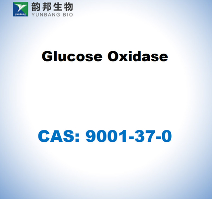 CAS 9001-37-0 กลูโกเซ่ออกซิเดซจาก Aspergillus niger