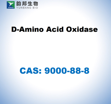 CAS 9000-88-8 D-Amino Acid Oxidase จากไตหมู