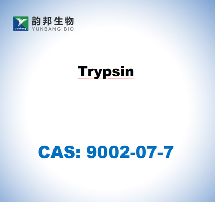 CAS 9002-07-7 ทริปซีนจากกระเพาะอาหารหมู