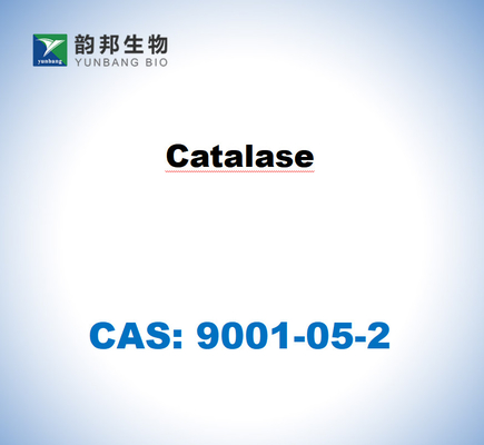 CAS 9001-05-2 คาตาลาสจากตับวัว