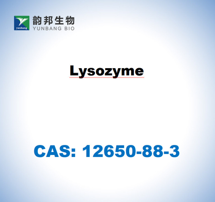 CAS 12650-88-3 ไลโซไซม์จากขาวไข่ไก่