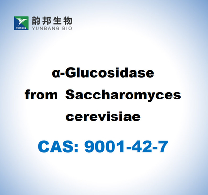 CAS 9001-42-7 Α-กลูโคซิดาซ จาก Saccharomyces Cerevisiae