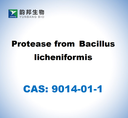 CAS 9014-01-1 โปรเตเอซจาก Bacillus Licheniformis
