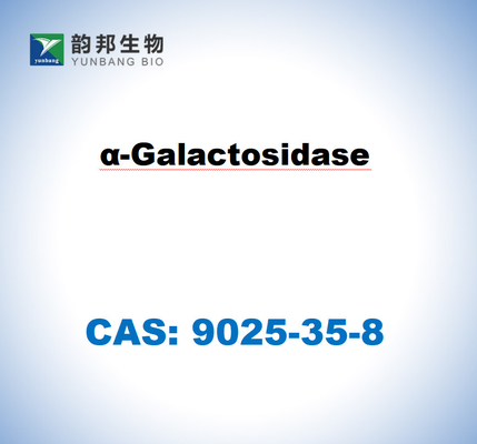 CAS 9025-35-8 Α-Galactosidase จาก Aspergillus Niger