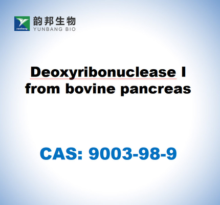 CAS 9003-98-9 โดไซริบอนิวเคลียส I จากกระเพาะอาหารวัว