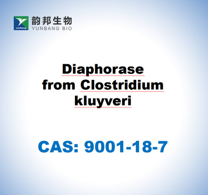 CAS 9001-18-7 ไดอาโฟราสจาก Clostridium kluyveri