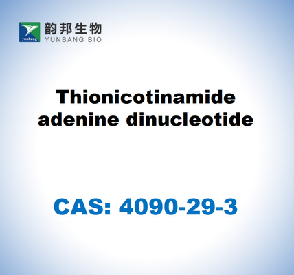 CAS 4090-29-3 Thionicotinamide Adenine Dinucleotide ธิโอนิโคตินามิด อาเดนีน ดินูเคลียตได