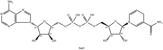 CAS 606-68-8 NADH, Disodium, Β-Nicotinamide Adenine Dinucleotide, ลดเกลือไฮเดรตไดโซเดียม