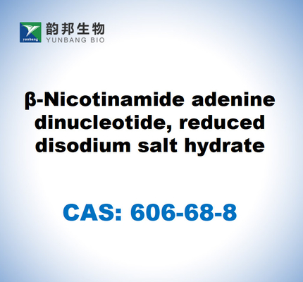 CAS 606-68-8 NADH, Disodium, Β-Nicotinamide Adenine Dinucleotide, ลดเกลือไฮเดรตไดโซเดียม