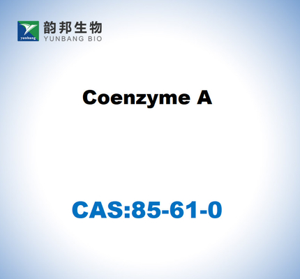 CAS 85-61-0 โคเอ็นไซม์ A 85% เกรดการปลูกเซลล์
