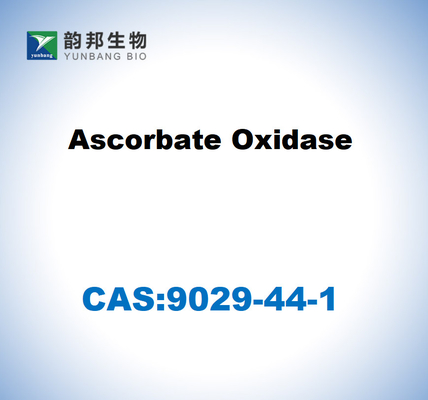 CAS 9029-44-1 แอสคอร์เบตออกซิเดเซส