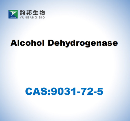 CAS 9031-72-5 อัลโคฮอลเดฮิดรอเกนเซส