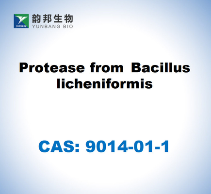 CAS 9014-01-1 โปรเตเอซจาก Bacillus Licheniformis