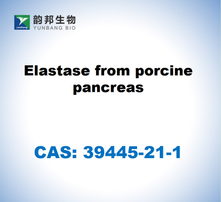 CAS 39445-21-1 เอลาสตาสจากกระเพาะอาหารหมู