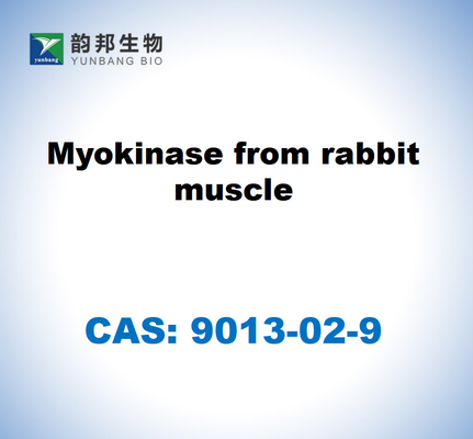 CAS 9013-02-9 มิโอคีนาซจากกล้ามเนื้อกระต่าย