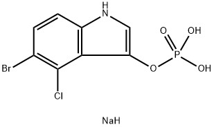 CAS 102185-33-1 5-บรอม-4-คลอโร-3-อินโดลิลฟอสเฟตเกลือดีโซเดียม,X-ฟอสเฟตเกลือดีโซเดียม