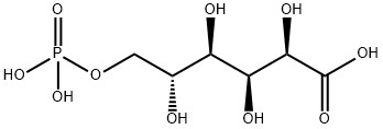 CAS 921-62-0 6-PHOSPHOGLUCONIC ACID BARIUM SALT
