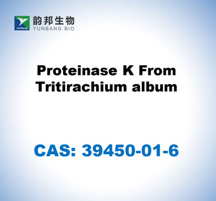 CAS 39450-01-6 โปรตีนเซส K จาก Tritirachium album